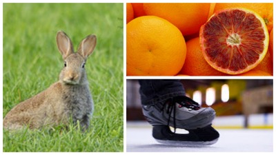 Oranges, Rabbits & Ice Skating: 3 Ways to Change Your Energy and Get More Done!